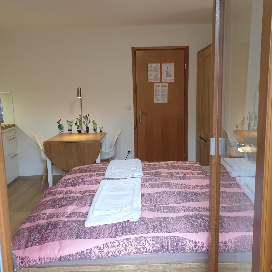 Apartmaji Pri Medvedu Studio Rudnica Bohinj Eksteriør billede